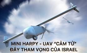 Mini Harpy – UAV 'cảm tử' đầy tham vọng của Israel
