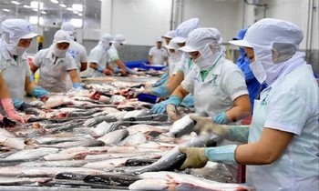 Các DN, nhà sản xuất Việt Nam cần phải thay đổi để có thể giữ vững thị phần xuất khẩu ở thị trường Trung Quốc