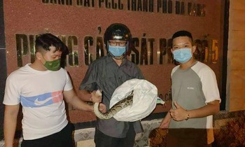 Đặng Thái Tuấn (ở giữa) hỗ trợ giải cứu chú trăn “đi lạc” vào khuôn viên trụ sở Phòng Cảnh sát PCCC&CNCH số 5 (quận Cẩm Lệ, Đà Nẵng) đầu tháng 10