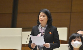 ĐBQH Nguyễn Thị Mai Thoa, Ủy viên Thường trực Ủy ban Văn hoá, Giáo dục 