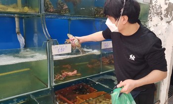 Hải sản tươi sống tăng giá từng ngày vì nhiều người mua biếu TếtẢnh: Ngọc Mai