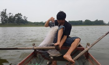 Anh Nguyễn Văn Trang thu mẻ lưới đầu tiền của ngày mới trên hồ Suối Hai (Ba Vì)