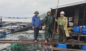 Lực lượng chức năng tỉnh Khánh Hoà xuống tận lồng bè nuôi hải sản vận động người dân lên bờ tránh bão Ảnh: Công Hoan