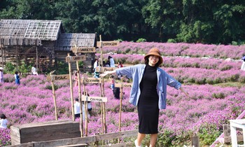 Người trẻ độc thân 'vùi mình' vào công việc, hào hứng đi du lịch trong ngày Valentine 