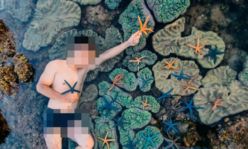Nam thanh niên nằm lên rạn san hô, vớt sao biển để chụp ảnh bị dân mạng chỉ trích dữ dội