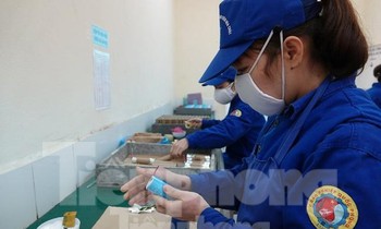 Chi tiết phương án phân phối pháo hoa hợp pháp, bắn cao trên 20 m do quân đội sản xuất