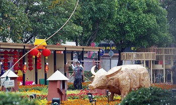 Giảm quy mô khai mạc, bố trí cổng khử khuẩn ở đường hoa Nguyễn Huệ