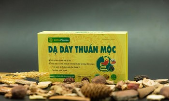Dạ dày Thuần Mộc - Giải pháp từ thiên nhiên hỗ trợ cải thiện viêm loét dạ dày tá tràng