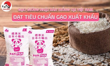 Giải mã cơn sốt gạo Nhật mua 1 tặng 1 tại Chuỗi Cửa Hàng Nhật Bản PanPan