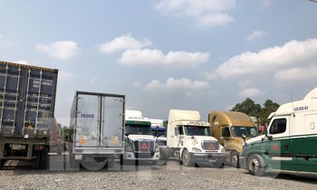 Hàng loạt bãi xe container tự phát dọc tuyến đường huyết mạch ở Bình Dương