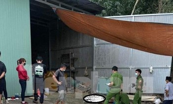 Nhân viên trại hòm bị điện giật tử vong tại nơi làm việc