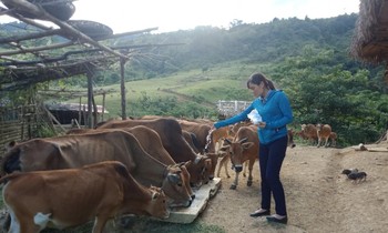Thanh Hóa: Hiệu quả từ những chính sách hỗ trợ cho vùng đồng bào dân tộc thiểu số