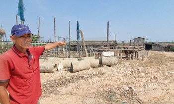 San lấp di tích quốc gia để làm chuồng trại