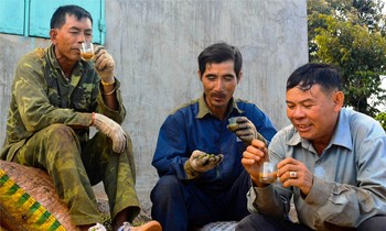 Những người nông dân tranh thủ uống cà phê lúc nghỉ giải lao