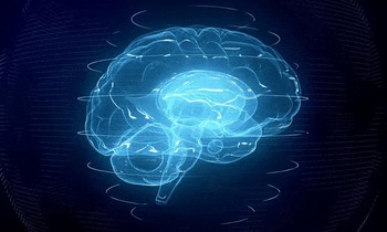 Lưu lượng máu trong não sẽ ảnh hưởng tới bệnh mất trí nhớ.