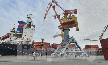 Tăng trưởng kinh tế Việt Nam dự báo đạt 5,5% năm 2022