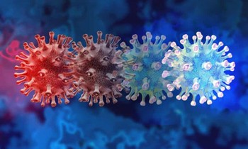 Các nhà khoa học cảnh báo biến chủng mới rất đáng lo ngại vì một số đột biến có thể giúp virus tránh được khả năng miễn dịch. Ảnh: Alamy.