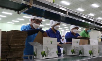Miễn, giảm thuế theo gói phục hồi kinh tế sẽ góp phần hỗ trợ doanh nghiệp phát triển. Ảnh: TTXVN.