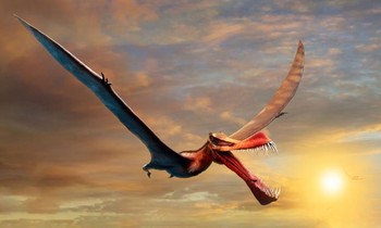 Phát hiện ra loài ‘Rồng thần chết’ từng sống ở Argentina