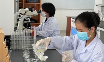 Sinh viên tại TP.HCM trở lại trường: Kết hợp hai hình thức học, ưu tiên sinh viên năm cuối