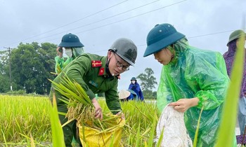Chiến sỹ Công an Hà Nội xắn quần, ngâm nước giúp người dân cứu lúa