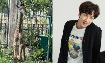 Góc đặt tên hươu cao cổ: Netizen "triệu hồi" Lee Kwang Soo, Thơm (Da LAB) cũng góp vui