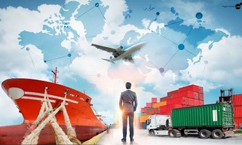 Điểm chuẩn ngành Logistics năm 2021 đứng tốp đầu các trường ĐH: Có gì mà "hot" tới vậy?
