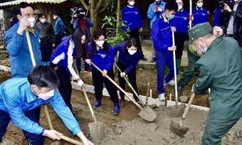 Các hoạt động chào mừng Tháng Thanh niên 2022: Miền Bắc rộn ràng không khí "màu áo xanh"
