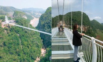 Cầu kính đi bộ dài nhất thế giới ở Mộc Châu: Du khách than thở "đắt ngang vé máy bay"