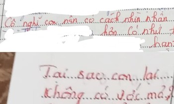 Học sinh viết về lý do không có ước mơ, cô giáo để lại lời phê khiến người đọc "tan chảy"