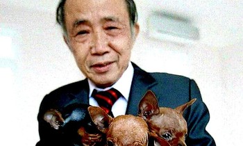 U90 Nguyễn Bảo Sinh: Thi sĩ khỏe dai nhất làng văn chương?