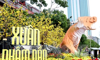 Hình ảnh đường hoa Nguyễn Huệ trước ngày khai mạc