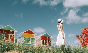 Thức dậy giữa rừng thông trong lành và mát lạnh của thành phố mù sương, bạn thích chứ?
