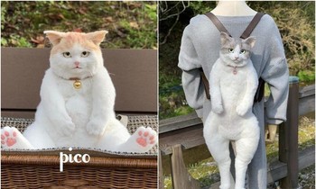 Ba lô, túi xách “quàng thượng” chất lừ khiến các "sen” mê tít, nhưng quá khó để mua