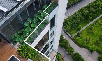 Mãn nhãn với hồ sen thơm ngát trên lưng chừng trời của cặp vợ chồng trẻ Hà Nội