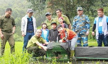 Chèo thuyền vớt rác, bảo vệ rùa biển - vừa khám phá thiên nhiên vừa "giải cứu" thế giới