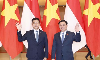 Chủ tịch Quốc hội Vương Đình Huệ đón, hội đàm với Chủ tịch Quốc hội Singapore