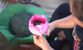 ‘Đệ nhất danh trà’ giá hàng chục triệu đồng/kg ở Hà Nội được làm như thế nào?