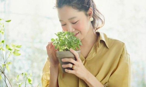 Như loài hoa vốn chỉ nở theo mùa, tình yêu có thể không là mãi mãi