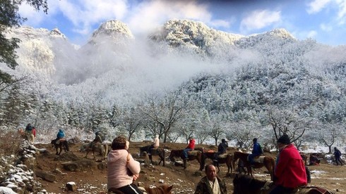 Ở Bhutan người dân bị cấm giết mổ động vật nên họ nhập thực phẩm chính từ nước nào?