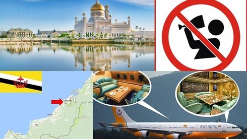 Ở Brunei không được phép bán gì sau đây?