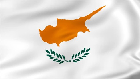 Nhành lá trên cờ của Cộng hòa Cyprus là lá gì?