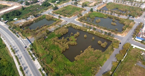 TPHCM nói gì về văn bản 'Tân Hoàng Minh bỏ cọc vụ đấu giá đất Thủ Thiêm'?