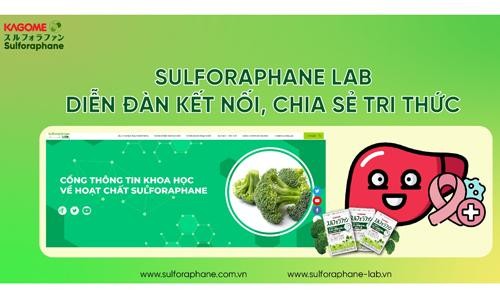 Sulforaphane - 'Hợp chất vàng' trong bông cải xanh người Việt ít biết