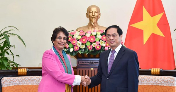 thumbnail - UNDP sẵn sàng hỗ trợ và đồng hành với Việt Nam trong phục hồi và phát triển kinh tế - xã hội