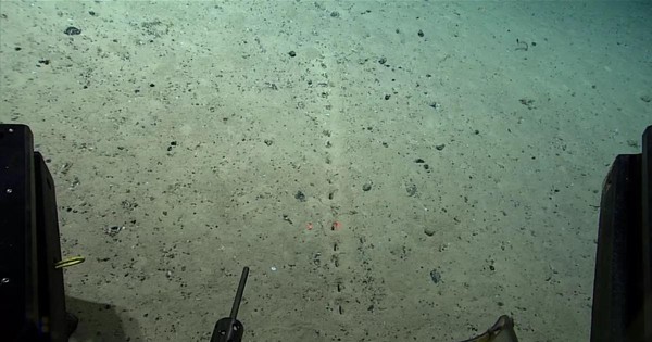thumbnail - Những lỗ thủng kỳ lạ được phát hiện dưới đáy đại dương