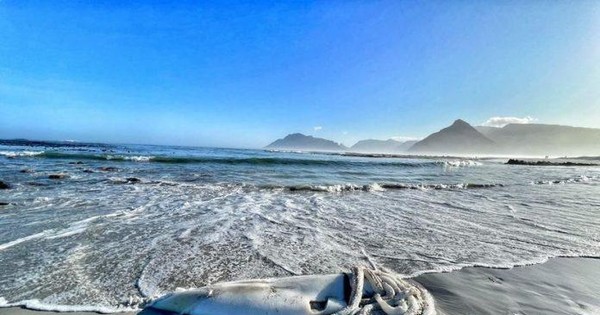 thumbnail - Cảnh tượng hiếm thấy, xác mực khổng lồ hơn 3m trôi dạt trên bãi biển Nam Phi