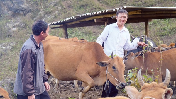 Những A Phủ đời mới