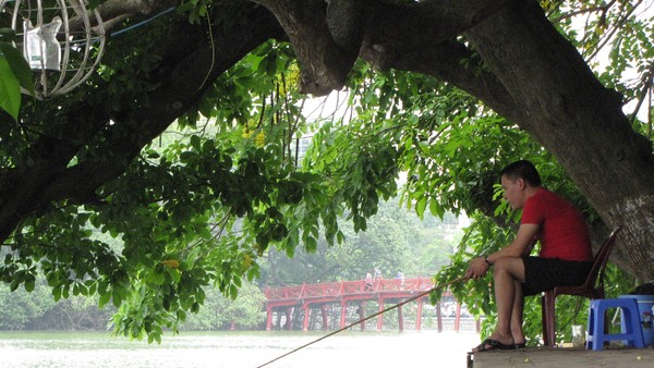 Lưỡi câu chùm lại đe dọa 'cụ' Rùa