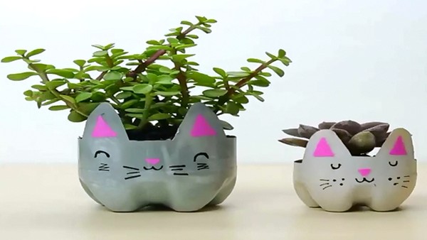 Biến chai nước bỏ đi thành chậu cảnh nhỏ xinh